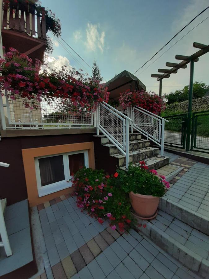 Bed and Breakfast Rozsakert Vendeghaz Сиглигет Экстерьер фото