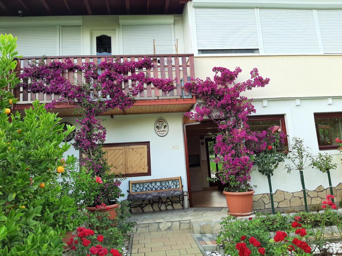 Bed and Breakfast Rozsakert Vendeghaz Сиглигет Экстерьер фото