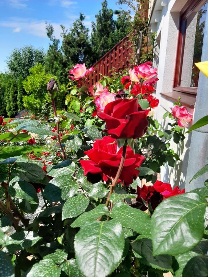 Bed and Breakfast Rozsakert Vendeghaz Сиглигет Экстерьер фото