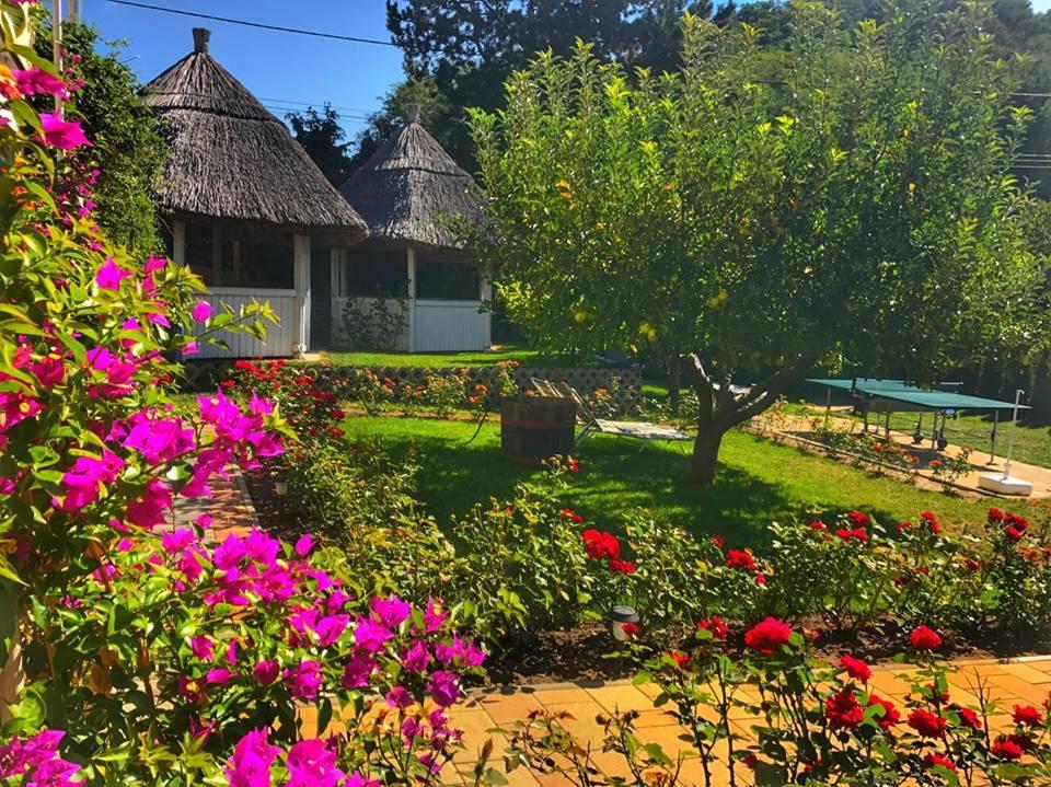 Bed and Breakfast Rozsakert Vendeghaz Сиглигет Экстерьер фото